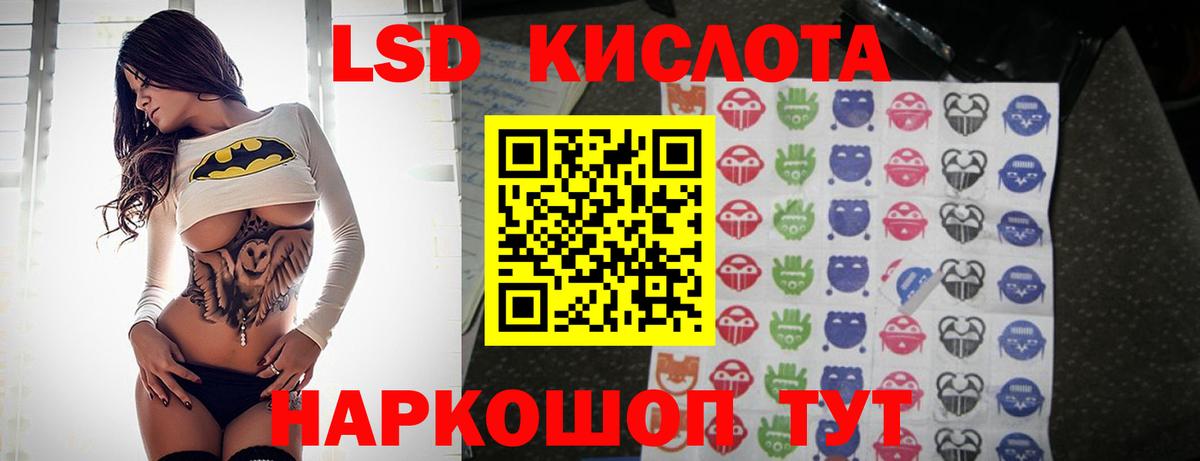 LSD-25 экстази  Вход с VPN  Новоалександровск  LSD-25 экстази кислота  ЛСД экстази кислота 