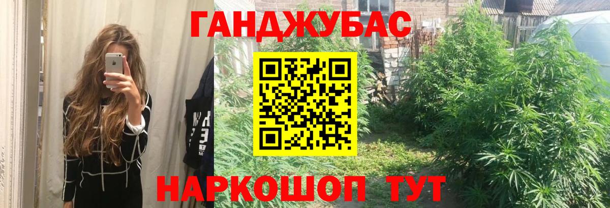 Шишки марихуана марихуана Новоалександровск